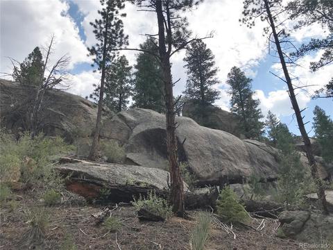 16139 Cochise Trl, Pine, CO 80470 photo 7