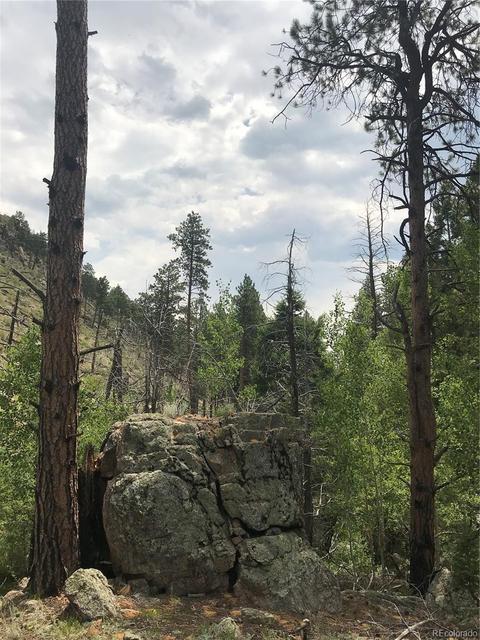 16139 Cochise Trl, Pine, CO 80470 photo 22