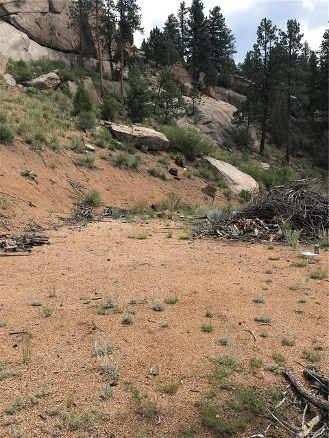 16139 Cochise Trl, Pine, CO 80470 photo 12