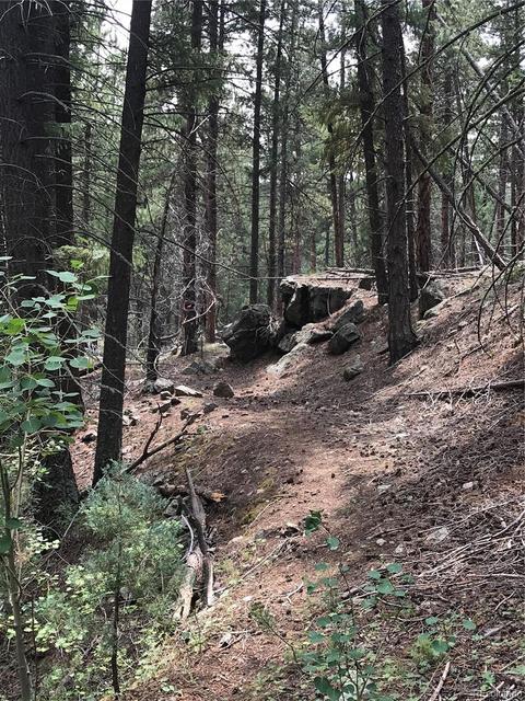 16139 Cochise Trl, Pine, CO 80470 photo 18