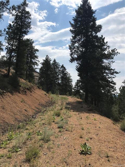 16139 Cochise Trl, Pine, CO 80470 photo 13