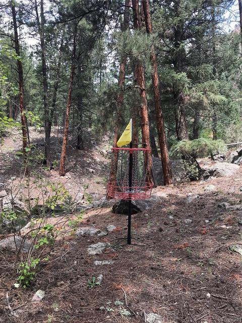 16139 Cochise Trl, Pine, CO 80470 photo 17