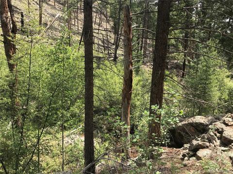 16139 Cochise Trl, Pine, CO 80470 photo 20
