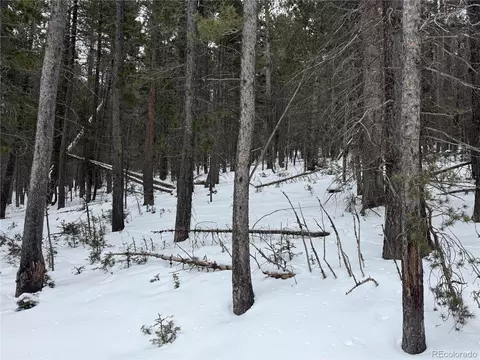 lot2759 Purnell Ln, Fort Garland, CO 81133
