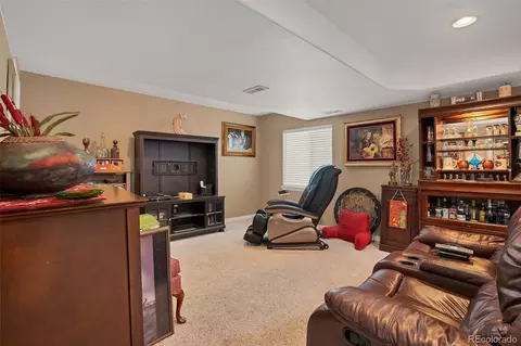 Other - 17689 E Cloudberry Dr, Parker, CO 80134 photo 4 of 6
