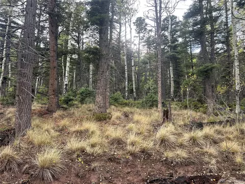 2954 Larry Pl, Fort Garland, CO 81133