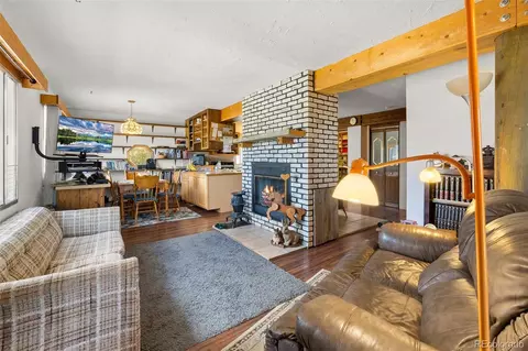 Living - 474 Gap Rd, Fairplay, CO 80440 photo 3 of 4