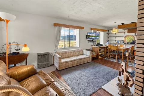 Living - 474 Gap Rd, Fairplay, CO 80440 photo 4 of 4
