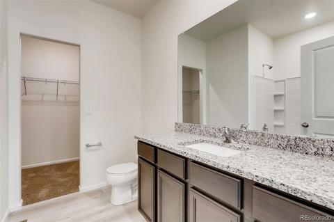 7375 Blue River Ave, Frederick, CO 80530 photo 10