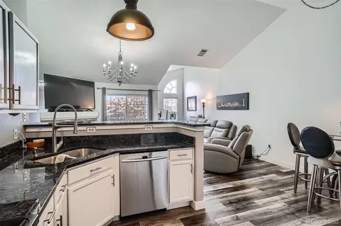 3252 E 103rd Dr #708, Denver, CO 80229 photo 11