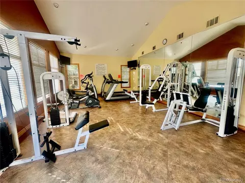 3252 E 103rd Dr #708, Denver, CO 80229 photo 32