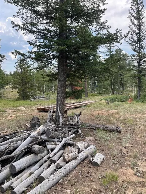 247 Sutiki Dr, Red Feather Lakes, CO 80545