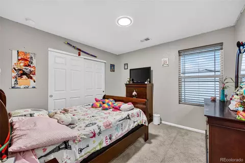 6980 E 121st Pl, Thornton, CO 80602 photo 13