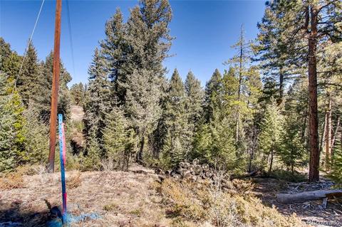 7807 S Settlers Dr, Morrison, CO 80465 photo 11
