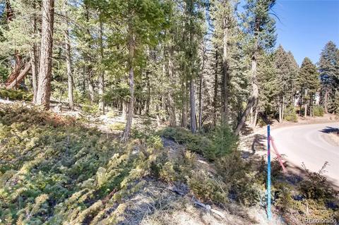 7807 S Settlers Dr, Morrison, CO 80465 photo 10