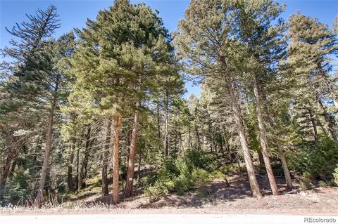 7807 S Settlers Dr, Morrison, CO 80465 photo 13
