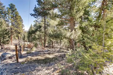 7807 S Settlers Dr, Morrison, CO 80465 photo 12