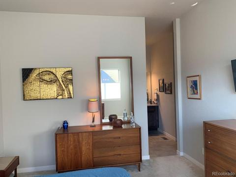 9374 E 60th Ave, Denver, CO 80238 photo 9