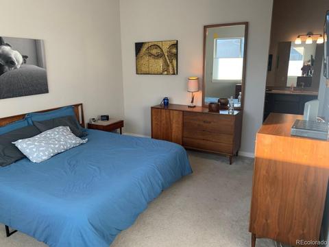 9374 E 60th Ave, Denver, CO 80238 photo 8