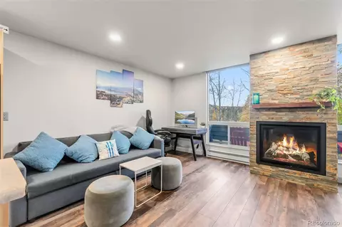 490 Straight Creek Dr #520, Dillon, CO 80435