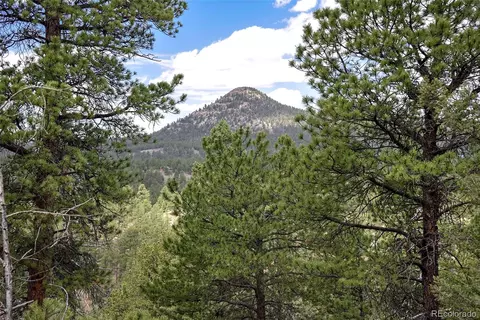 293 Badger Trl, Florissant, CO 80816