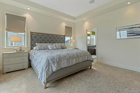 9108 E 59th Pl, Denver, CO 80238 photo 23
