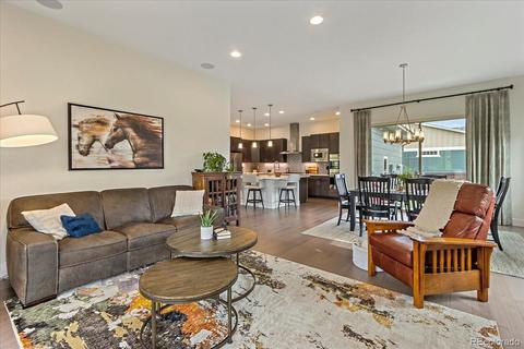 9108 E 59th Pl, Denver, CO 80238 photo 13