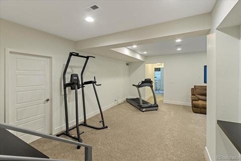 9108 E 59th Pl, Denver, CO 80238 photo 29