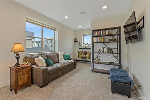 9108 E 59th Pl, Denver, CO 80238 photo 18