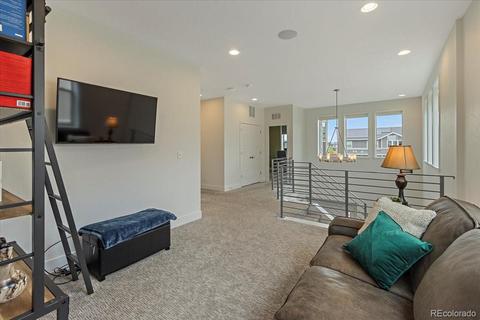 9108 E 59th Pl, Denver, CO 80238 photo 19