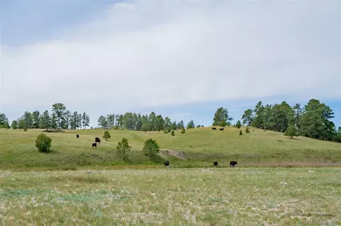 Other - 12400 County Road 102, Elbert, CO 80106 photo 14 of 25