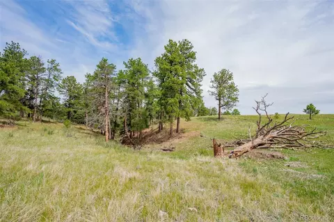 Other - 12400 County Road 102, Elbert, CO 80106 photo 13 of 25