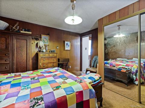 14003 S Hazel Ave, Pine, CO 80470 photo 15