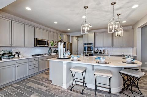 22411 E Narrowleaf Cir, Aurora, CO 80016 photo 5