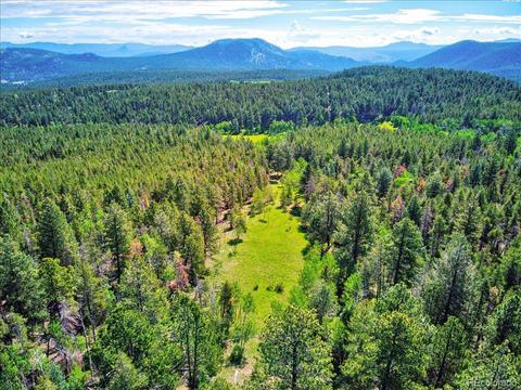 7563 Co Road 68, Bailey, CO 80421 photo 3