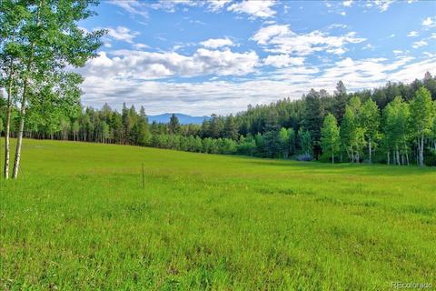 7563 Co Road 68, Bailey, CO 80421 photo 8