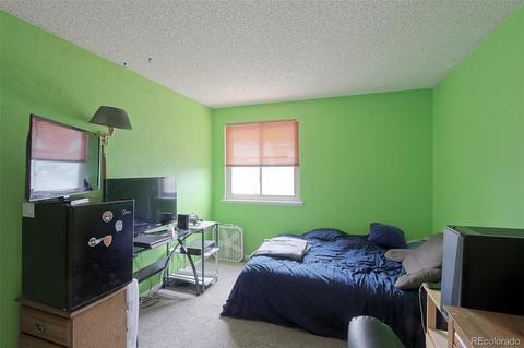 5396 E 113th Pl, Thornton, CO 80233 photo 16