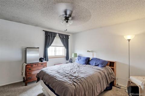 5396 E 113th Pl, Thornton, CO 80233 photo 14