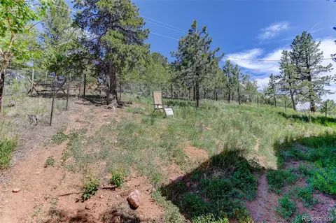 Exterior - 606 Clark Rd, Bailey, CO 80421 photo 8 of 8