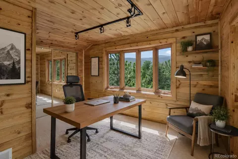 Other - 606 Clark Rd, Bailey, CO 80421 photo 9 of 10
