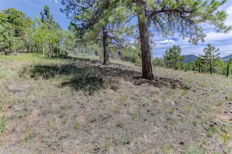 Exterior - 606 Clark Rd, Bailey, CO 80421 photo 6 of 8