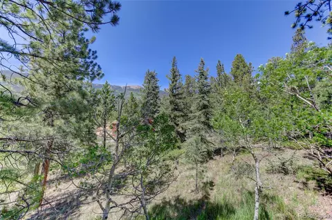 Other - 606 Clark Rd, Bailey, CO 80421 photo 10 of 10