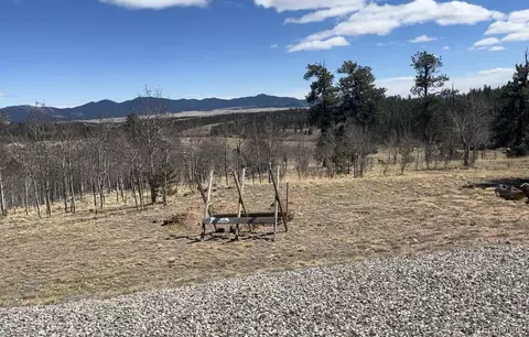 12 Loon Ln, Como, CO 80432 photo 9