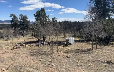 12 Loon Ln, Como, CO 80432 photo 6