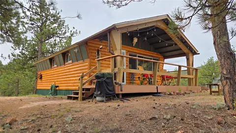 259 S Vermillion Rd, Lake George, CO 80827