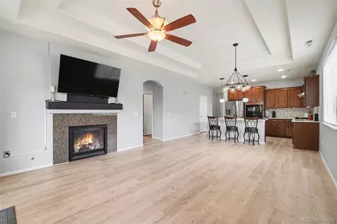 Living - 6313 Spring Gulch St, Erie, CO 80516 photo 3 of 3