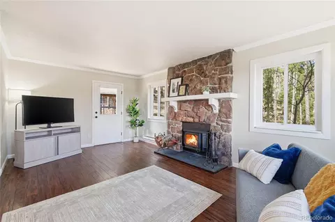 Living - 150 Cedar Rd, Evergreen, CO 80439 photo 3 of 3