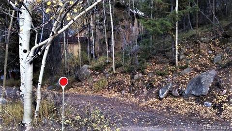 105 Rose St, Georgetown, CO 80444 photo 21