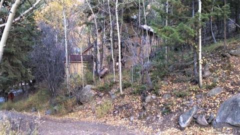 105 Rose St, Georgetown, CO 80444 photo 22