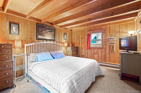 708 7th St, Georgetown, CO 80444 photo 14